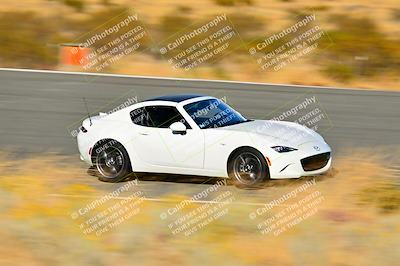 media/Nov-16-2024-Extreme Speed (Sat) [[6587d07cc4]]/Gold Group/Session 3 (The Bowl)/